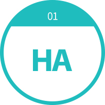 HA